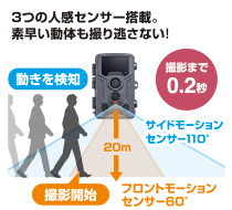 3つの人感センサー搭載。素早い動体も撮り逃さない!