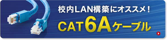 校内LAN構築にオススメ!CAT6Aケーブル