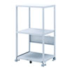 LPS-T107N