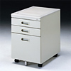 SNW-101