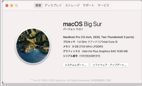 macOSのバージョンが11.0(Big Sur)かどうか確認します